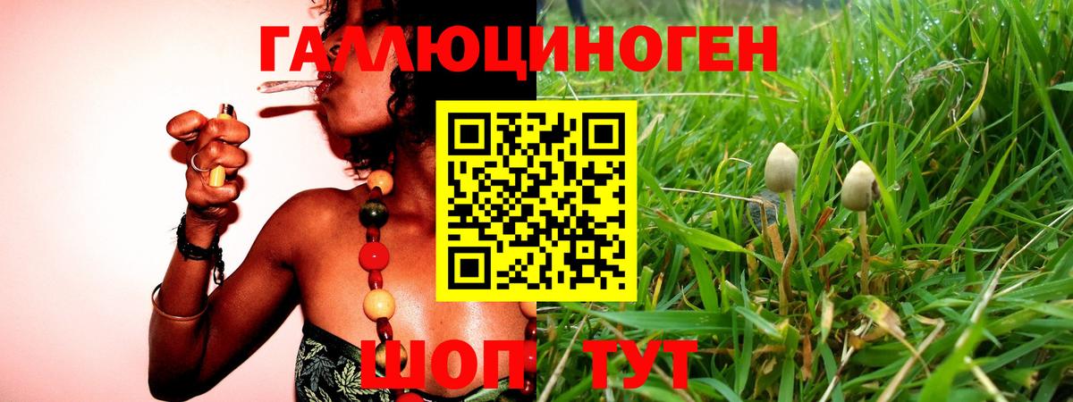 Галлюциногенные грибы Psilocybine cubensis  Вход с VPN  Саянск 